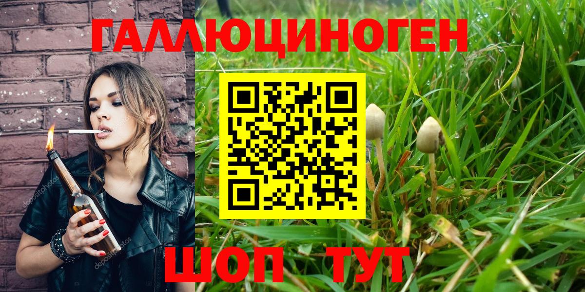 Галлюциногенные грибы мухоморы Саратов